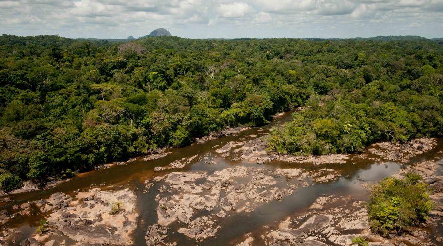  Amazonian National Park  | Tripreviewhub.com