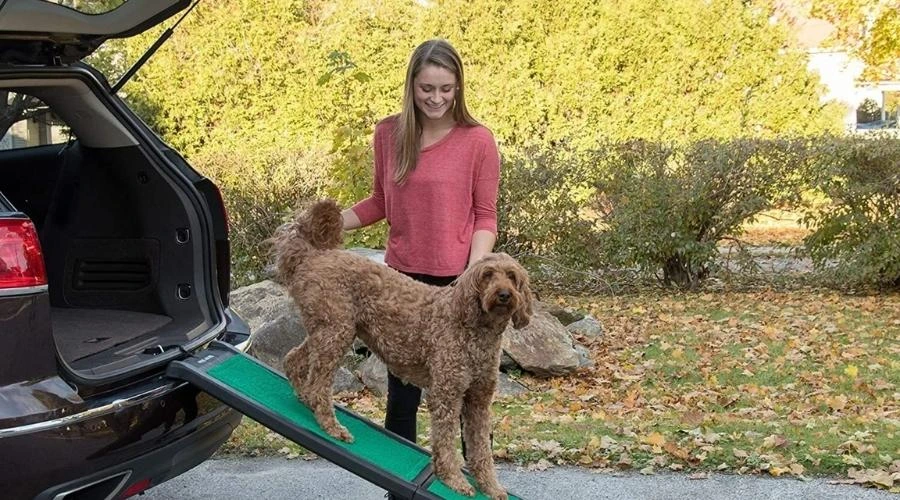 Car Ramp for your companion