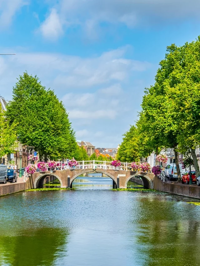 Netherlands Guide: A Must Follow for a trip
