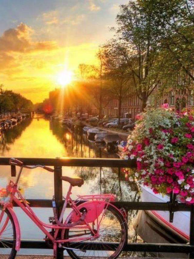 Experience Worthy Things To Do In Amsterdam