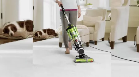 Best Vacuums For Pet Hair