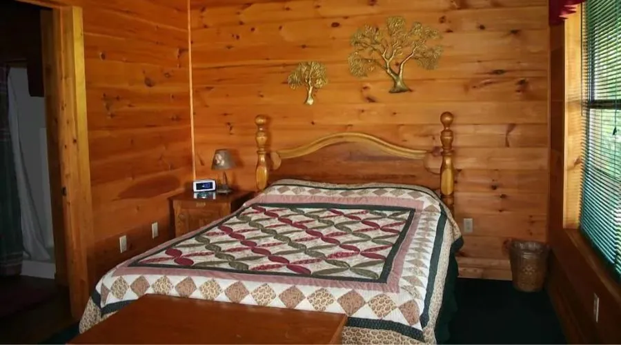 Beautiful, Affordable, Cabin Near Pigeon Forge For Couples!