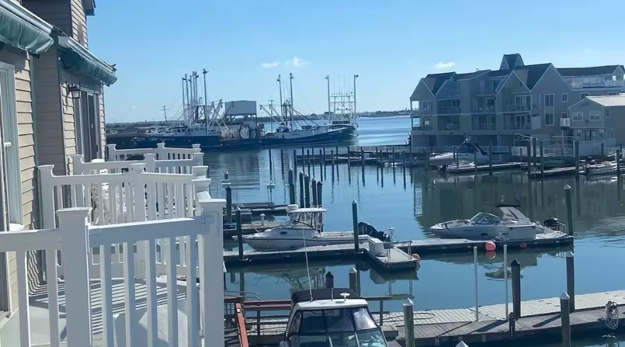 Breathtaking Harbor Views on Yacht Ave